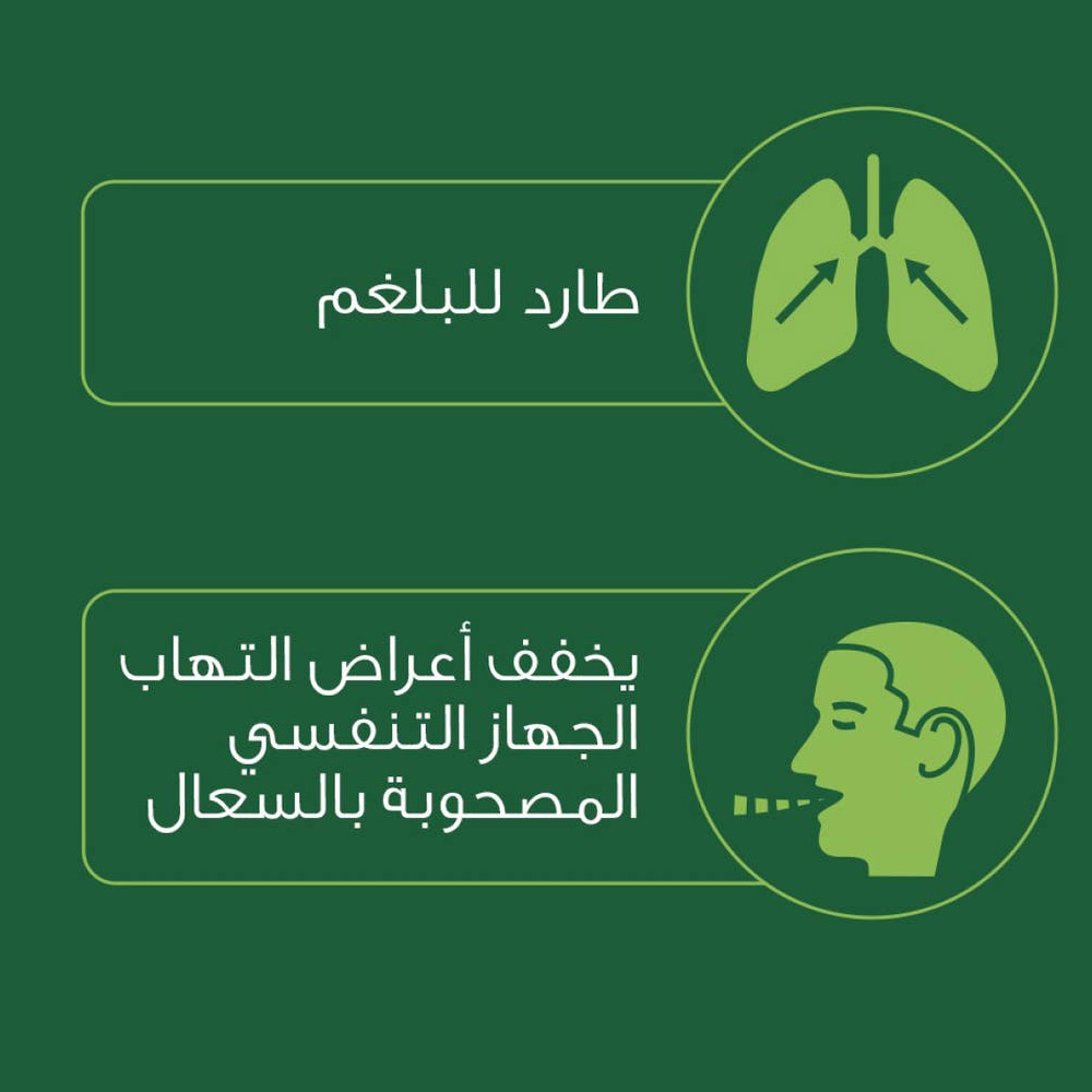 برونشيكير ايفى شراب 100 مل