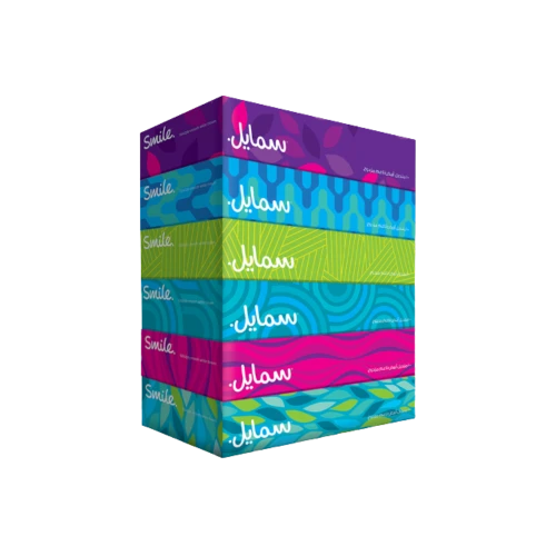 مناديل وجه طبقتان سمايل 100 منديل – 6 عبوة